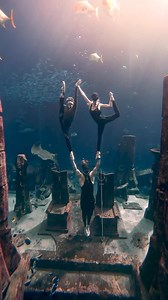 Cirque du Soleil underwater Freediving stunt at the Atlantis Dubai Aquarium 🔱 #aquaman #dubai | Tavi Castro