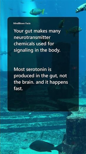 The Gut-Brain Connection Explained 🤯 | MindBlown Facts
