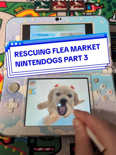 Rescuing Nintendogs: Part 3 of My Flea Market Finds