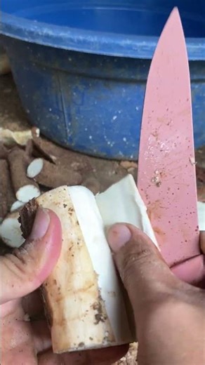 Fast Cassava Prep for Busy Cooks