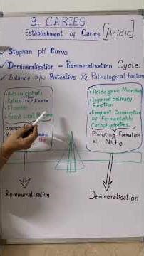 Establishment of caries or Caries Remin-Demin Cycle or Stephan pH curve of caries process