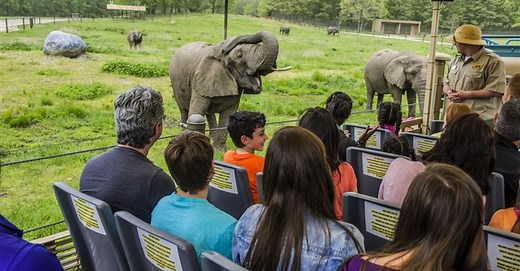 Six Flags Great Adventure - Wild Safari | Page | Six Flags Great Adventure