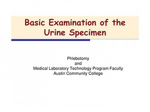 Basic Examination of the Urine Specimen - SlideServe