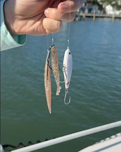 9.7K views · 549 reactions | Most inshore saltwater anglers use one...