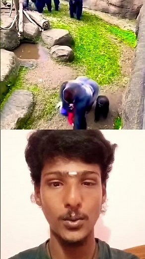 Monkeying Around: The Wildest Zoo Pranks