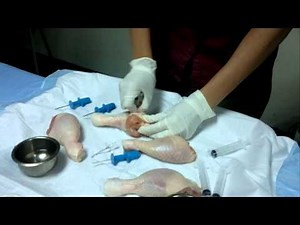 Intraosseous Needle Insertion : MTLS