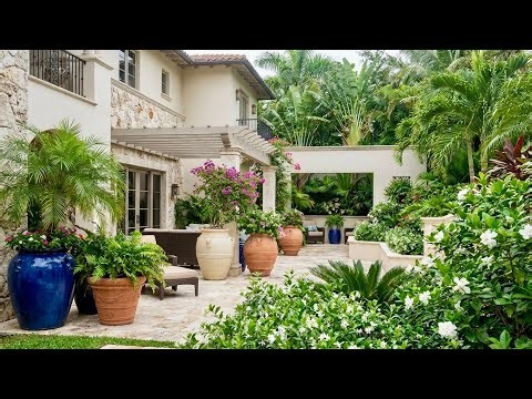 Creating a Private Oasis: From Empty Space to Tropical Oasis