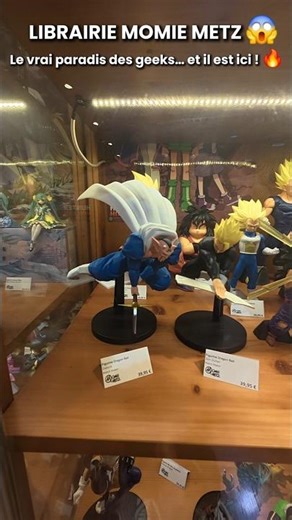 🚨 TU NE VAS PAS CROIRE CE MAGASIN GEEK À METZ 😱