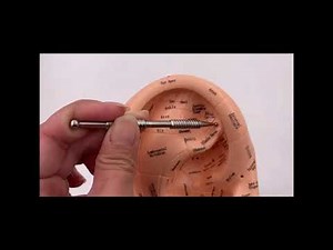 Ear Acupuncture Point For Sympathetic Nerve