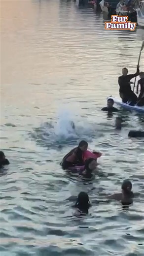 2M views · 80K reactions | These kids got the memory of a lifetime! 錄‍♂️ #Dolphin | Fur Family | Facebook