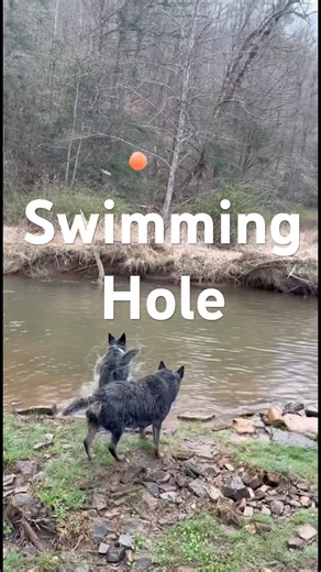 Primitive Campsite on HipCamp. Link in Description