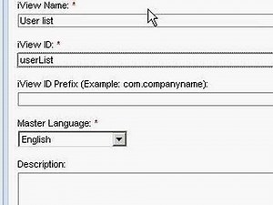 SAP NetWeaver Portal create a transaction iView