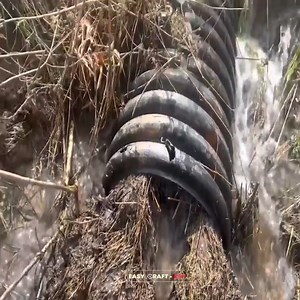 224K views · 1.3K reactions | Smart man breaks the Beaver Dam. then major flooding normally. | Derrick X. Talks | Facebook