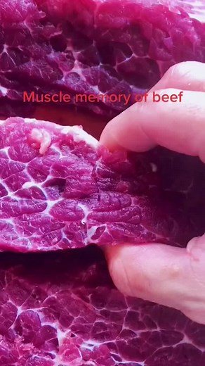 Exploring the Fascinating Concept of Muscle Memory in Beef