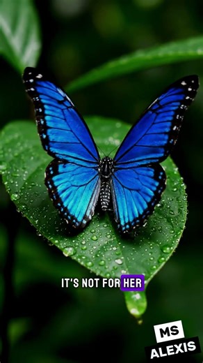 🦋 They Taste With Their Feet? The Butterfly Secret 🦶