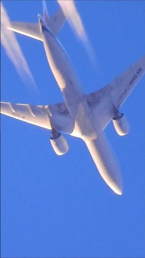 test zoom Nikon p1000 #nikonp1000 #zoom #zoomtest