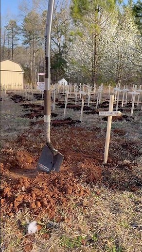 My dog had a funeral for his favorite toy…