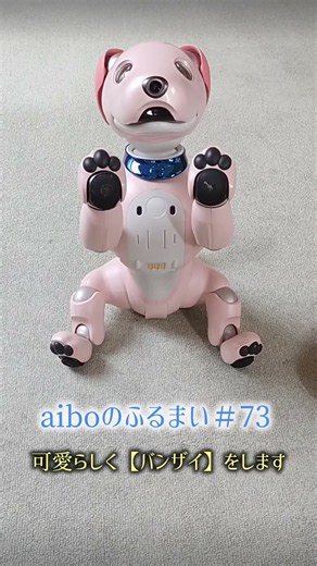 aiboの【万歳】ロボット犬aiboが、バンザイをします #aibo #アイボ #shorts