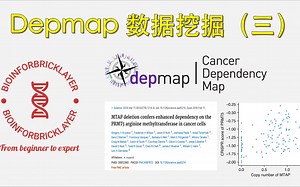 【生信进阶之路｜资源篇04】Depmap 数据库挖掘（三）