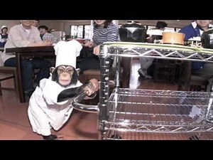 25 Coolest Restaurants You Could Ever Hope To Eat At