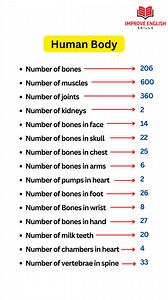 571K views · 4.2K reactions | Human body六‍ . . . . . . ##humanbody #English #short #englishtips #vocabulary #learnenglish #education #science #students #STUDY #improveenglishskills #learnenglishonline #trending #IELTS #fyp #reels #viralreels #improveenglishskills121 #foryou | Improve English Skills | Facebook