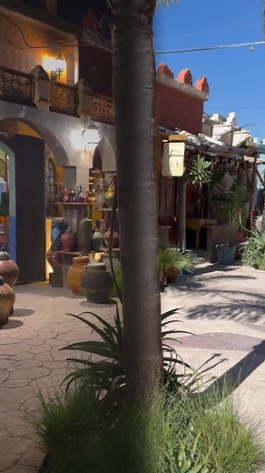 AFRICAM SAFARI on TikTok