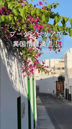 スペイン領の #カナリア諸島 #ランサローテ島