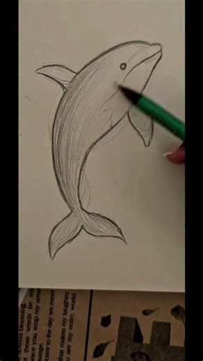 Drawing dolphins 🐬 easy to draw cute animals!