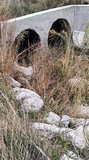 304K views · 3.3K reactions | Graboids in Nebraska | the ODD FILES | Facebook