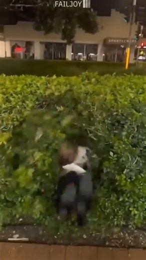 Fails of the Week v | funnyfail04