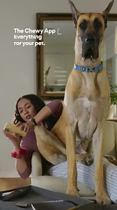 1.1K views | From thousands of pet faves to helpful services, the Chewy app makes it easy to find everything for your pet. Download today. | Chewy | Facebook