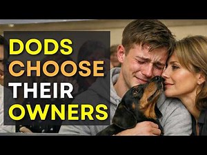 When the Dog at the adoption center chooses you