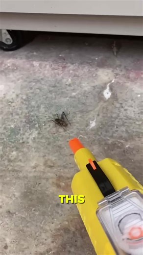 Pixel Genix on Instagram: "This Salt Gun Takes Out Flies Instantly The Bug‑A‑Salt gun is a chemical-free, pump-action gadget that shoots table salt to knock down flies and other small insects. It’s accurate, easy to use, leaves minimal mess, and makes pest control quick, fun, and safe for your home. #reelsfypシ #tech #inventions #technology #interesting #gadgets Credit: @happydays7248 / TT @BUGASALT / YT"