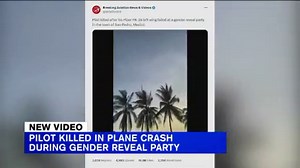 Pilot dies in plane crash while announcing baby's gender at reveal party