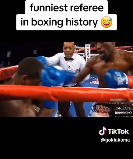 The Best Boxing Referee: Steve Willis Funny Moments