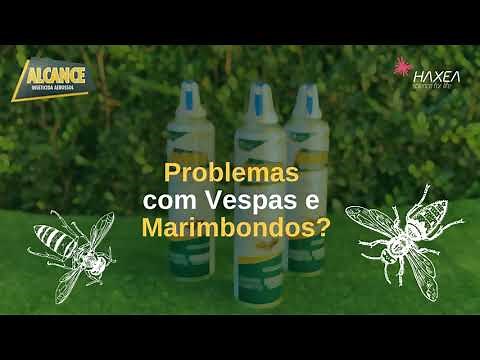 Alcance - Proteja-se de vespas e marimbondos de forma rápida, fácil e segura