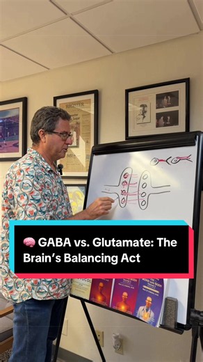 🧠 GABA calms the brain, while glutamate keeps it active! ⚡ Finding the right balance is essential for healthy brain function and emotional regulation. #GABA #Glutamate #MentalHealth #BrainChemistry #neuroscience
