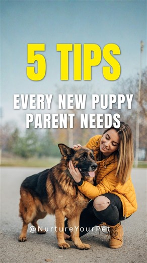 5 Puppy Care Essentials You Can't Ignore 🩺 #PuppyTips #PetCare