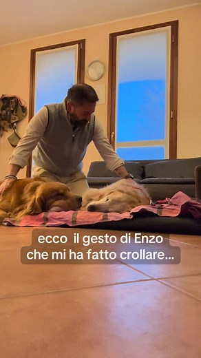 681K views · 12K reactions | Io lo sapevo che sarei crollato… ma non...
