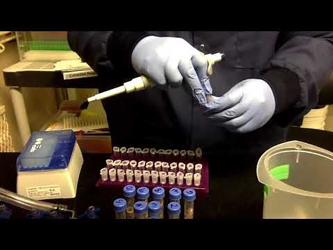 Power Water DNA Extraction Protocol