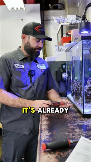 Why You Shouldn’t Push Maintenance Past the Recommended Intervals on BMW & Mercedes