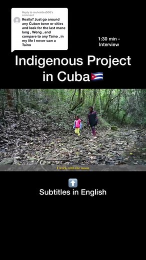 Replying to @raulvaldes500 #fyp #foryou #indigenous #cubanindigenous #indian #indio #taino #tainos #siboney #guanahatabey