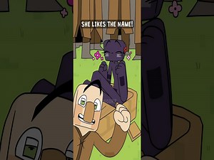 【中英双字】ep12。名称(minecraft动画)