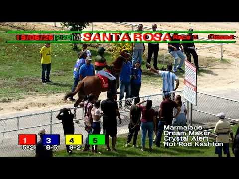 Arima Race Club - Day 7 June 19th 2026 Race -3