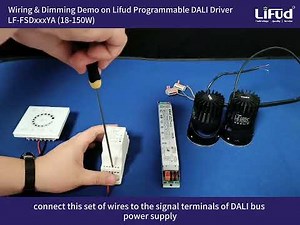 Wiring&Dimming Demo on Lifud Programmable DALI Driver LF-FSDxxxYA (18-150W)