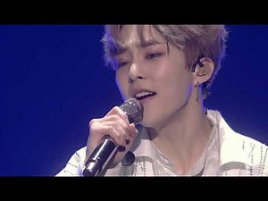 Exo CBX Paper Cuts Live ~Magical Circus 2019~ DVD version
