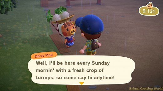 What is the best day and time to sell Turnips in Animal Crossing: New Horizons?