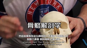 Ninja nerd：基础医学-骨骼解剖学 | Bone Anatomy_哔哩哔哩_bilibili