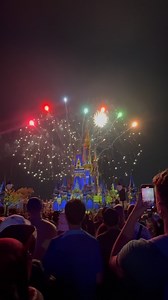 Happily Ever After! | See WDW