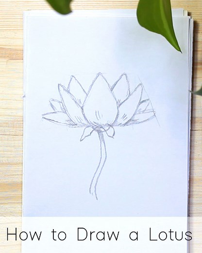 How to Draw a Lotus : Step by Step - JeyRam Drawing Tutorials